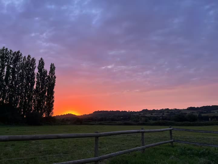 Le Champ des Mouettes