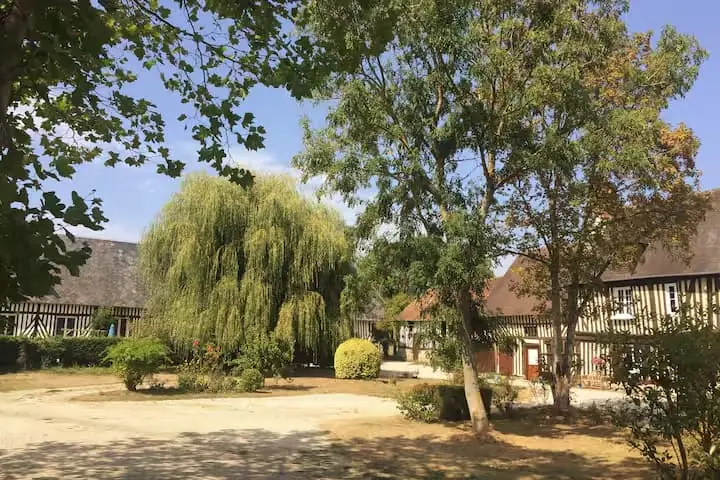 Jardin privatif avec espace barbecue et transats à La Prairie Verte